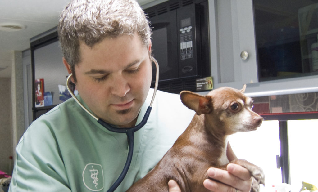 Rhode Island's Mobile Vet » Salmon River Vet, LLC provides mobile spay